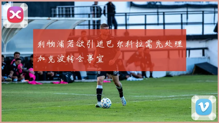 利物浦若欲引进巴尔科拉需先处理加克波转会事宜